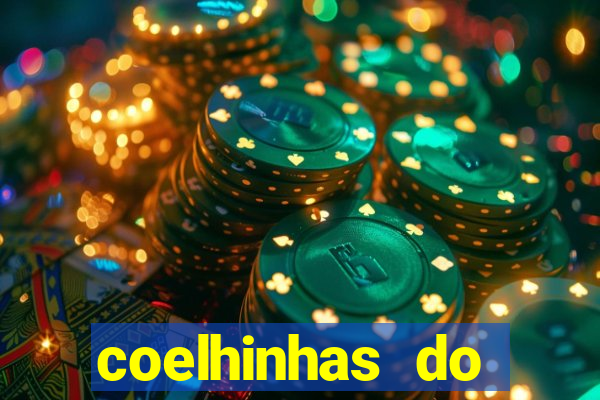 coelhinhas do brasil jp